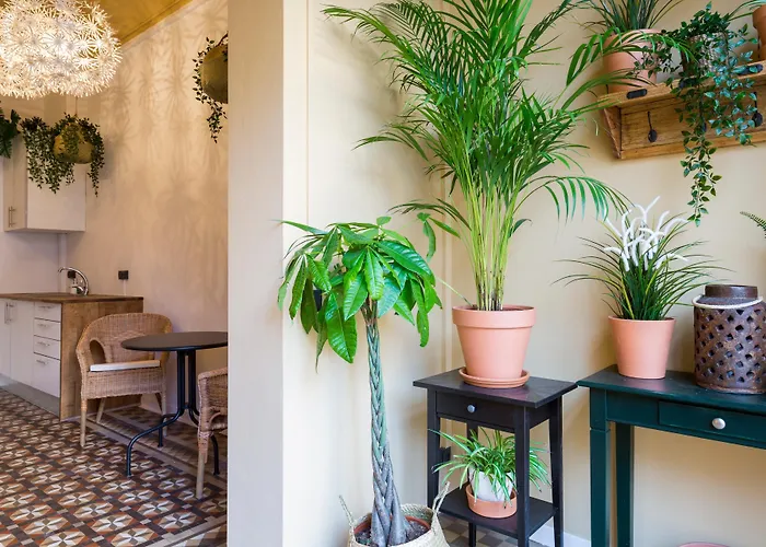 Casa Maca Guest House Barcellona